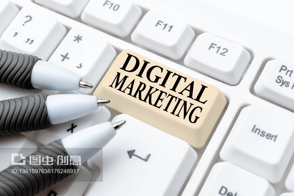 数字营销 激发商业灵感的互联网销售新范式